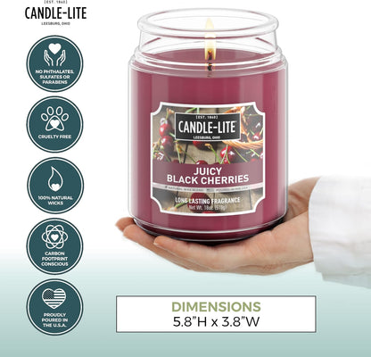 Black Cherry Scented Candle, 18 oz Jar