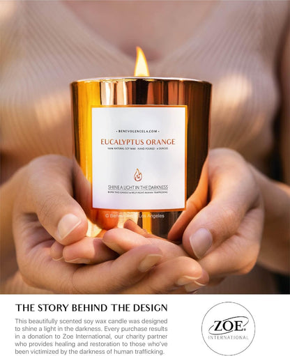 Eucalyptus Orange Wood Wick Soy Candles | 8oz Aromatherapy Home Fragrance | Ideal Gifts for All | 45-Hour Burn Time | Elegant Shelf Decor and Bathroom Freshener