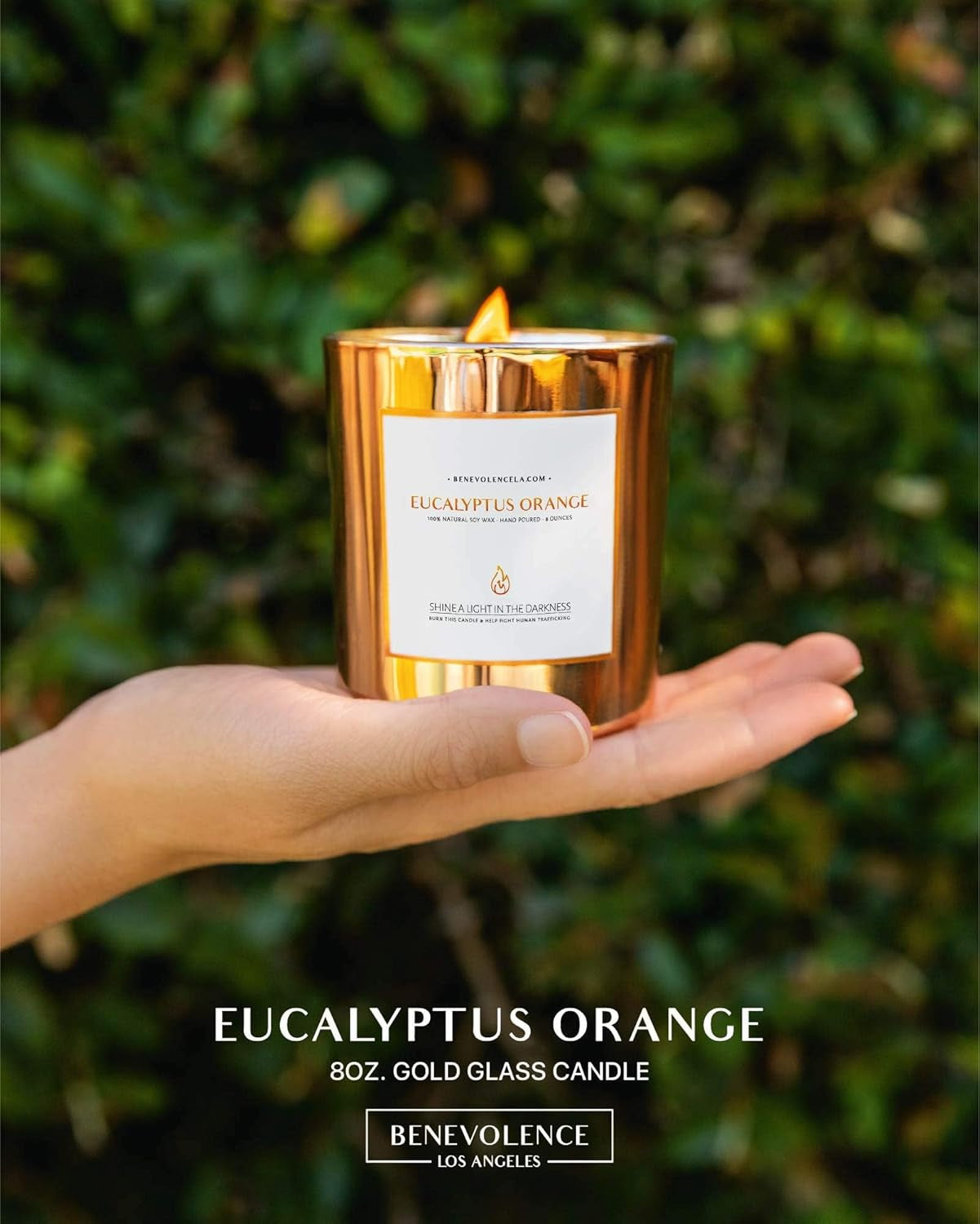 Eucalyptus Orange Wood Wick Soy Candles | 8oz Aromatherapy Home Fragrance | Ideal Gifts for All | 45-Hour Burn Time | Elegant Shelf Decor and Bathroom Freshener
