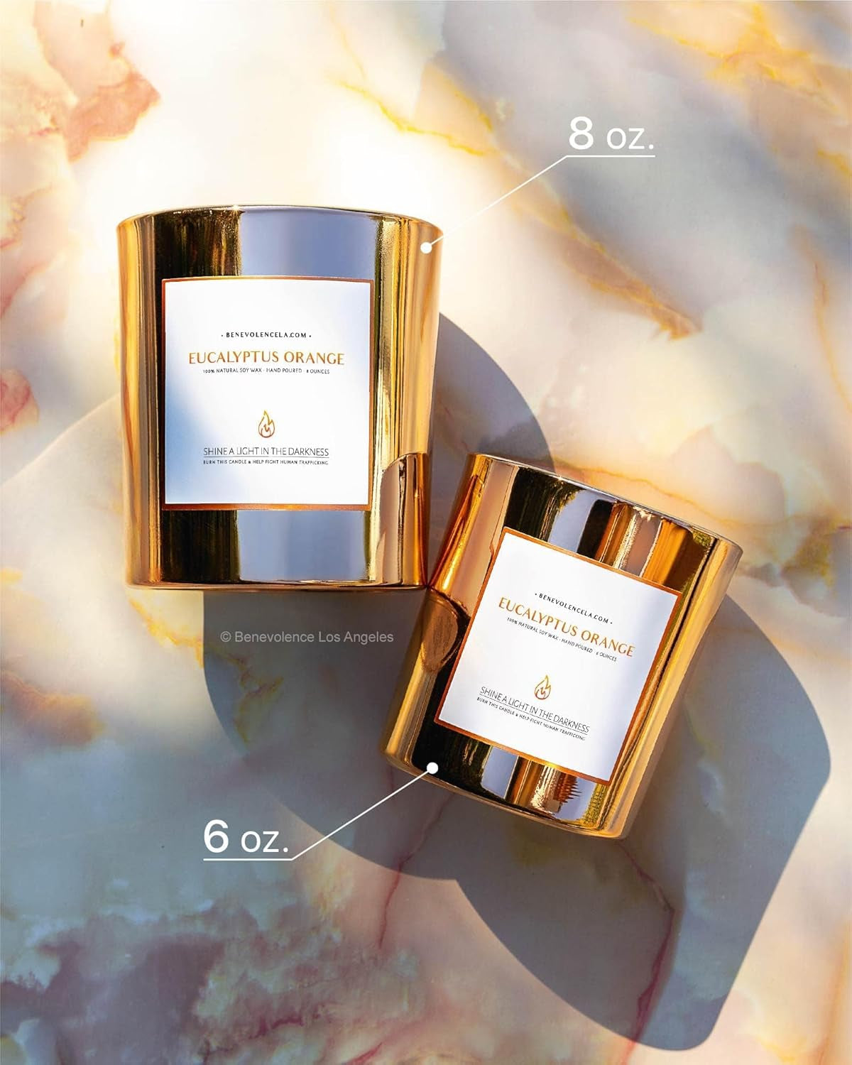 Eucalyptus Orange Wood Wick Soy Candles | 8oz Aromatherapy Home Fragrance | Ideal Gifts for All | 45-Hour Burn Time | Elegant Shelf Decor and Bathroom Freshener