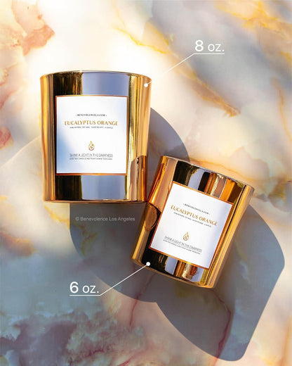 Eucalyptus Orange Wood Wick Soy Candles | 8oz Aromatherapy Home Fragrance | Ideal Gifts for All | 45-Hour Burn Time | Elegant Shelf Decor and Bathroom Freshener