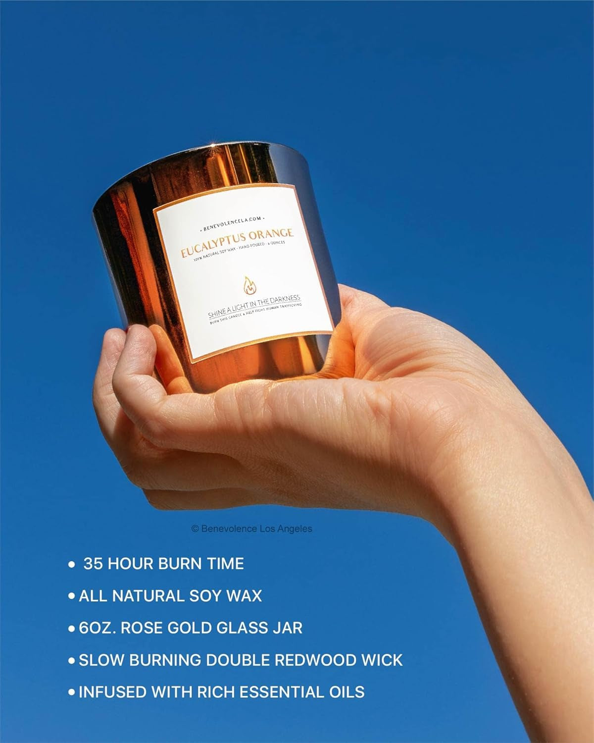 Eucalyptus Orange Wood Wick Soy Candles | 8oz Aromatherapy Home Fragrance | Ideal Gifts for All | 45-Hour Burn Time | Elegant Shelf Decor and Bathroom Freshener